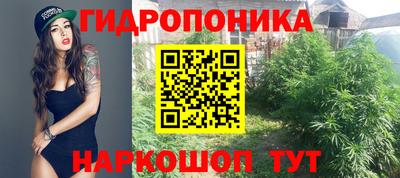 винт Аргун