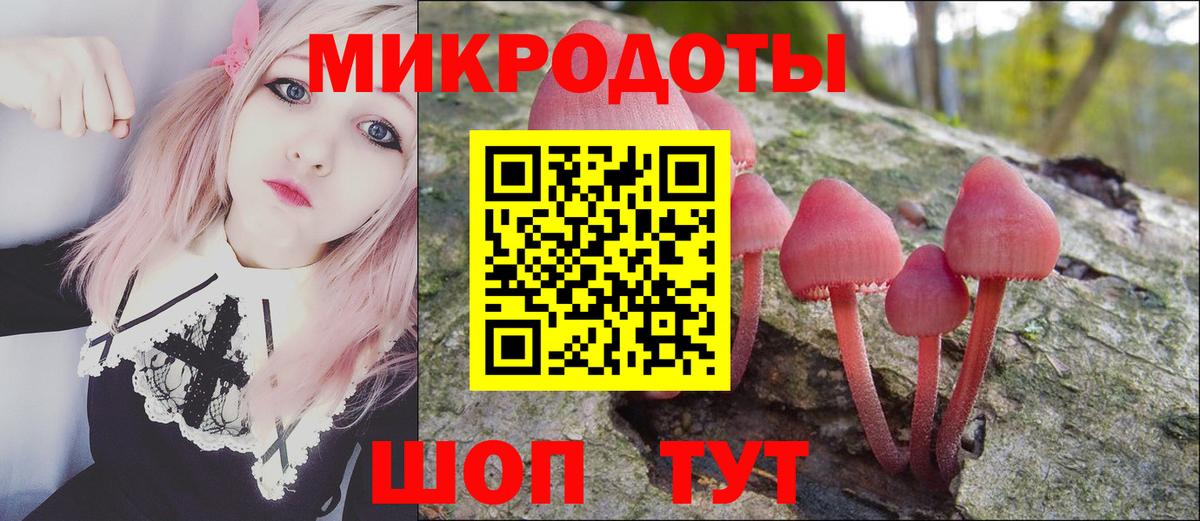 Галлюциногенные грибы Psilocybe Волжск
